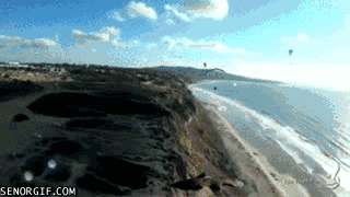 사람과 교감하는 동물들.gif (feat.신기함) | 인스티즈