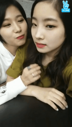 사나 조련하는 다현.gif | 인스티즈
