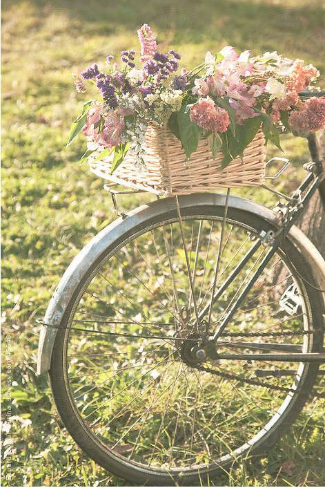 너는 내가 읽은 가장 아름다운 구절이다 | 인스티즈