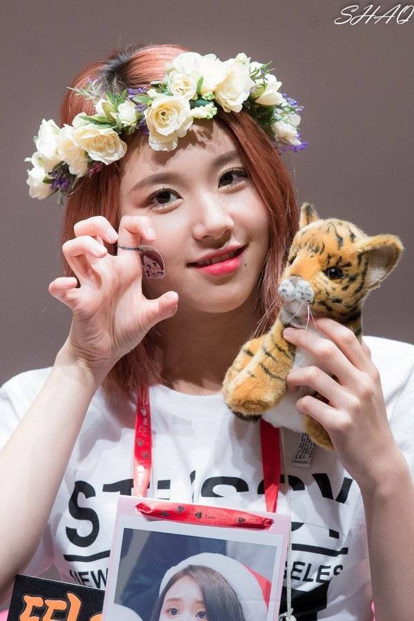 아기맹수 채영이 | 인스티즈