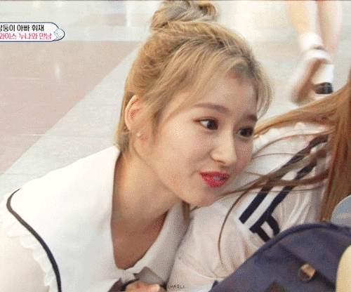 [트와이스] 한번 빠지면 답없는 사나 꿀눈빛.gif | 인스티즈