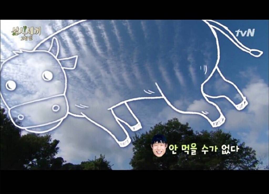 삼시세끼 갈비구름 | 인스티즈