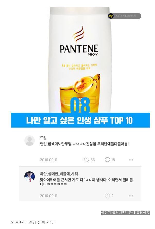 피키피플들이 추천하는 인생샴푸 TOP10 | 인스티즈