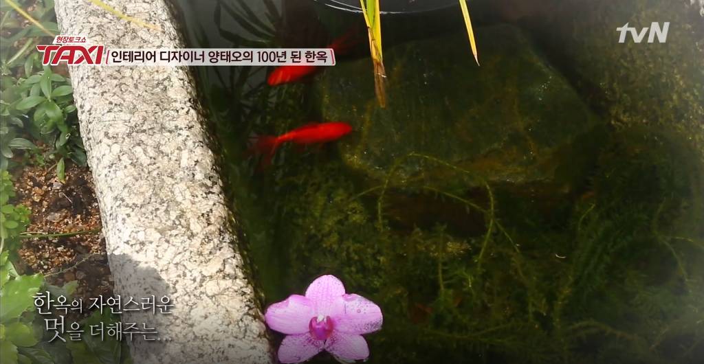 인테리어 디자이너 양태오의 100년된 한옥 | 인스티즈