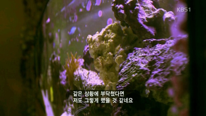 역 인종차별을 주장하는 한 백인남성의 생각 | 인스티즈