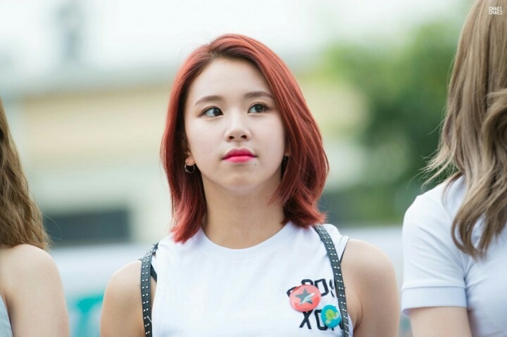 트와이스 채영 | 인스티즈