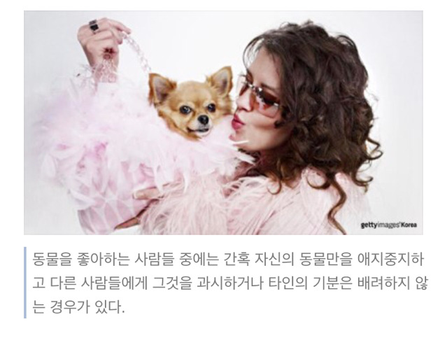 동물을 싫어하는 마음도 이해해요 | 인스티즈