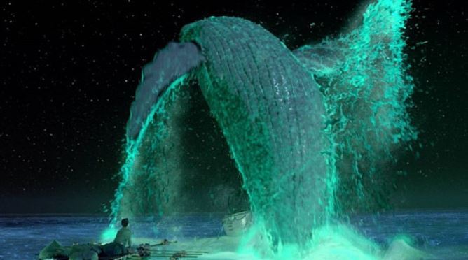 보면 기분이 좋아지고 힐링되는 기분을 느낄 수 있는 영화들 | 인스티즈