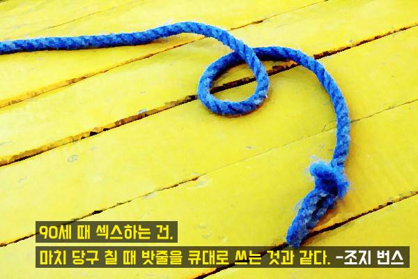 섹스에 관한 명언들 | 인스티즈