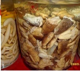 각종 술 (혐오주의) | 인스티즈