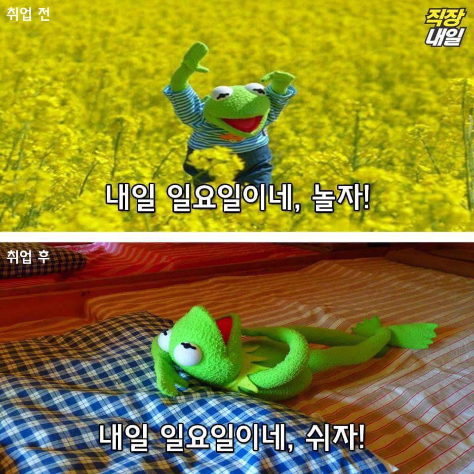 직장인이 되기 전과 후.jpg | 인스티즈