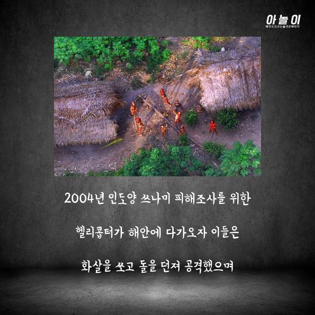 들어가면 바로 살해당하는 섬...ㄷㄷ | 인스티즈