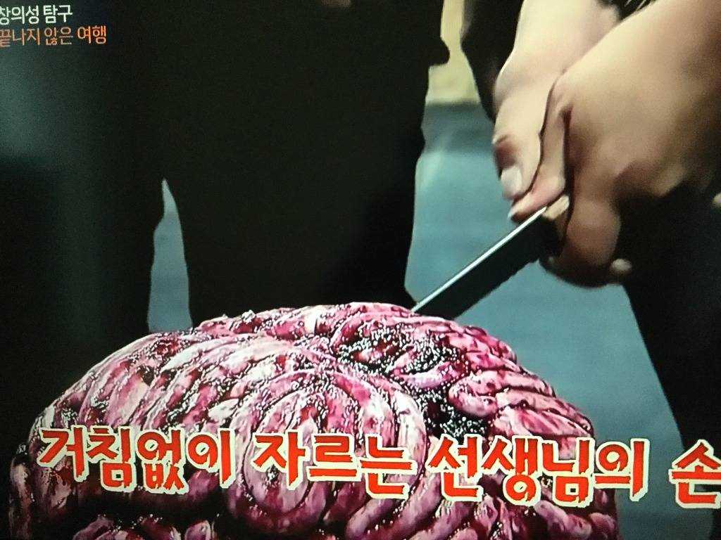 정재승이 좋아하는 뇌 과학자들이 먹는다는 케이크 | 인스티즈