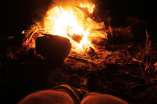  나는 자살할 수 있는 식물이 아니오,단지 관심을 끌고 싶었소 | 인스티즈