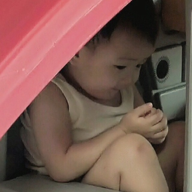 걸어다니는 애교주머니 민국이 모음 (데이터주의!) | 인스티즈