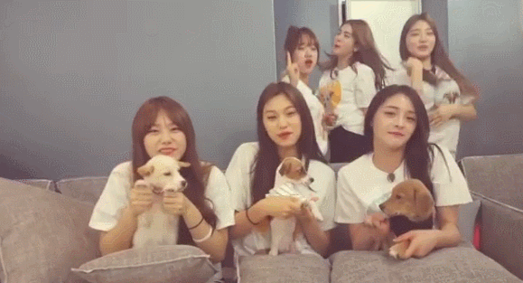 자기전에 올리능 유정이 (ioi) | 인스티즈