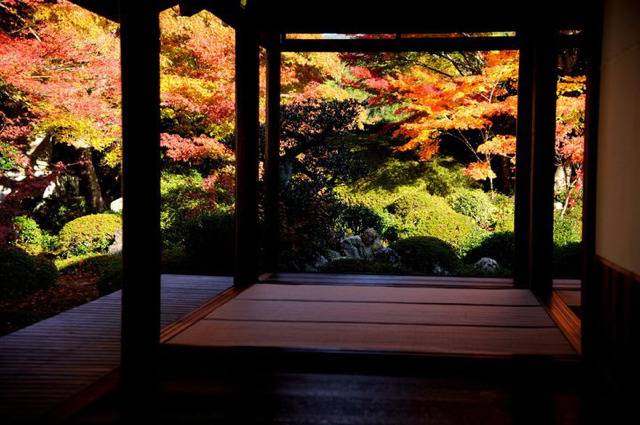 흔한 일본 교토의 풍경들 ㄷㄷ | 인스티즈