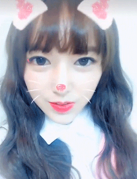 성소 닮은 고양이 | 인스티즈