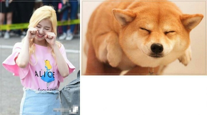 트와이스 사나 | 인스티즈