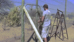 사람과 교감하는 동물들.gif (feat.신기함) | 인스티즈