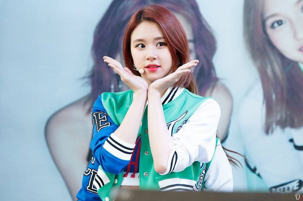 아기맹수 채영이 | 인스티즈