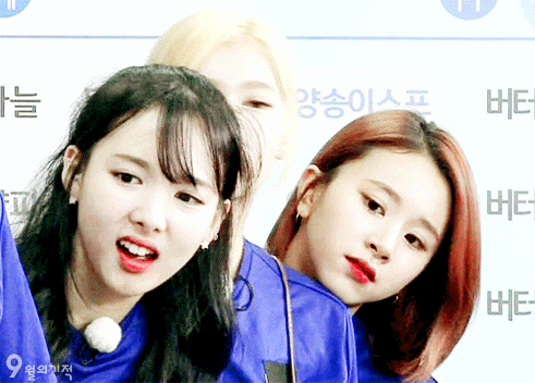 트와이스 채영 | 인스티즈