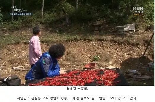 나는 자연인이다 레전드.JPG | 인스티즈