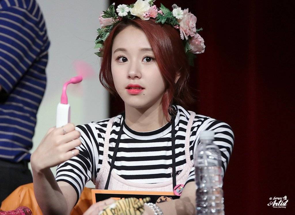 아기맹수 채영이 | 인스티즈