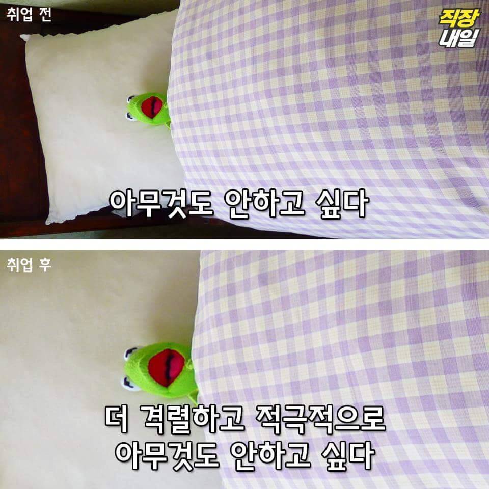 직장인이 되기 전과 후.jpg | 인스티즈