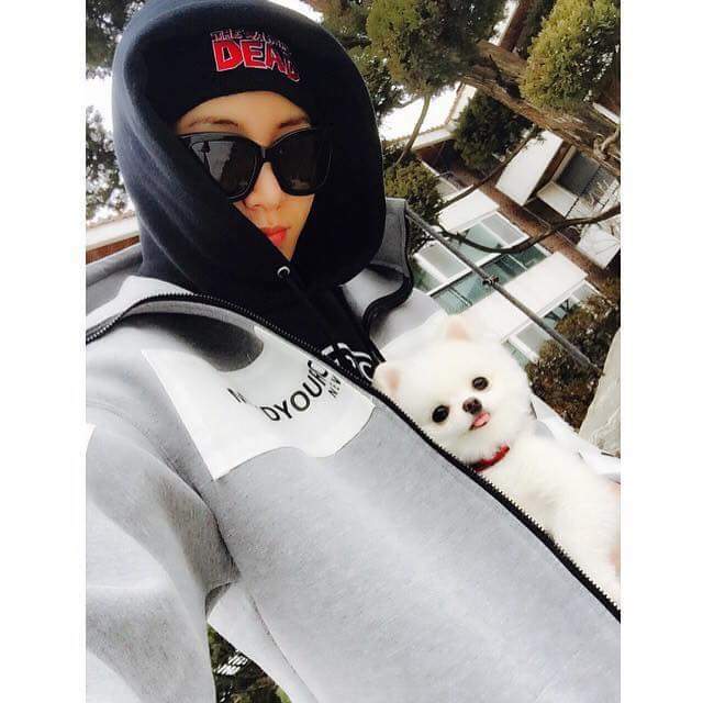 기사까지 났던 노민우네 강아지 모모.jpg | 인스티즈