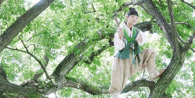 구르미 PD가 엽록소 변태 소리 듣는 이유.gif | 인스티즈