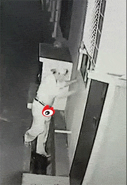 중국의 파이프 딸.gif | 인스티즈