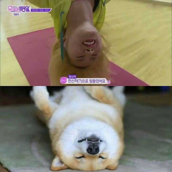 트와이스 사나 | 인스티즈