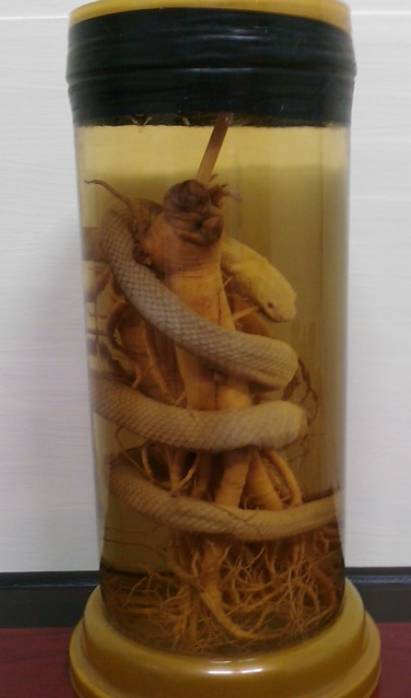 각종 술 (혐오주의) | 인스티즈