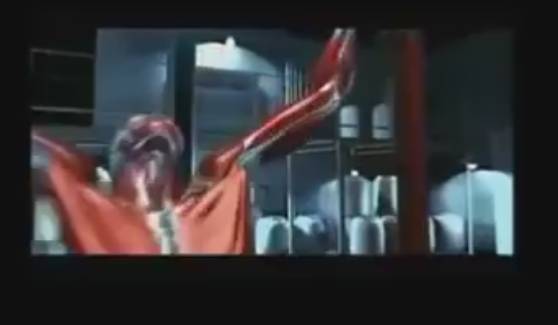 근육이 자라는 과정 | 인스티즈