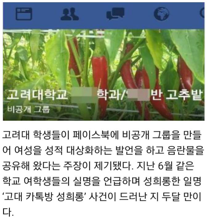대학 남학생들 단톡방 여학우 성희롱 | 인스티즈