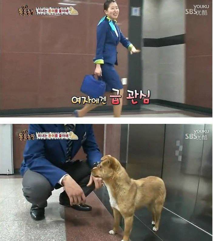 여자만 좋아하는 강아지 | 인스티즈