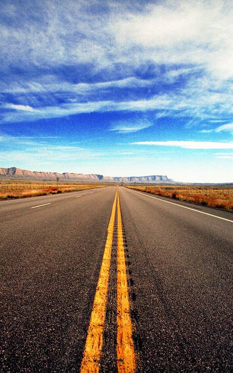  미국 남자들의 로망.jpg | 인스티즈