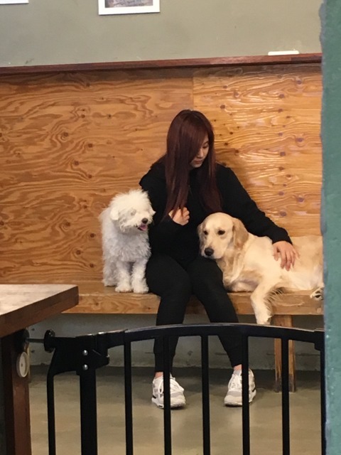 쯔위 팬들이 쯔위 생일에 한일들 | 인스티즈