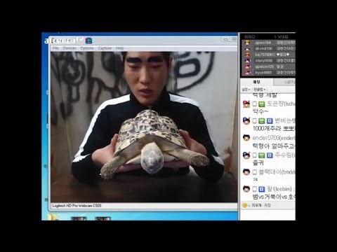 흔한 아프리카BJ 클라스 | 인스티즈