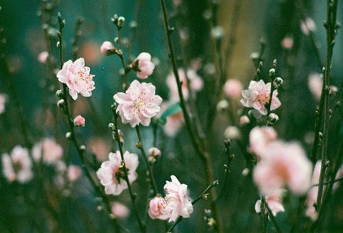  그대를 만나고 부터 언제나 내 마음속엔 별 하나 빛나고 있습니다 | 인스티즈