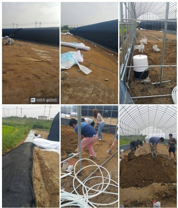 안락사 없는 내사랑바둑이 보호소가 공사비 모금중입니다! 공사비가 부족해서 고양이들이 살 묘사와 주방위생시설을 아직 짓지 못했어요ㅠㅠ(봉사,물품후원가능) | 인스티즈