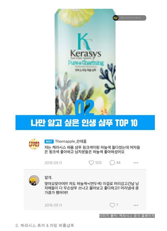 피키피플들이 추천하는 인생샴푸 TOP10 | 인스티즈