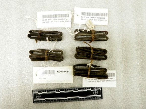 말 안 되는데 말 되는 고래로 늑대잡기.jpgif | 인스티즈