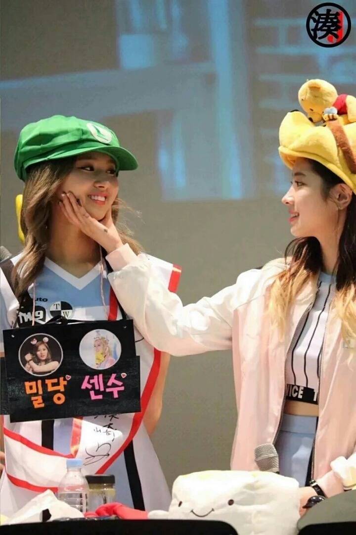 트와이스 애완 멤버.gif | 인스티즈