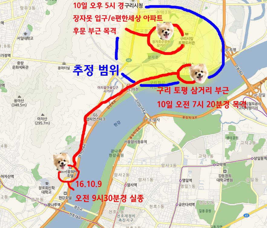 [기타] 구리시에서 강아지를 찾습니다.. 도와주세요 | 인스티즈