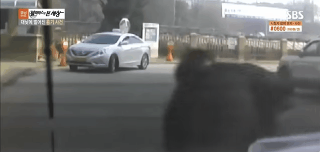 대낮에 벌어진 흉기사건 | 인스티즈