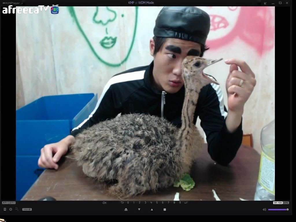 흔한 아프리카BJ 클라스 | 인스티즈