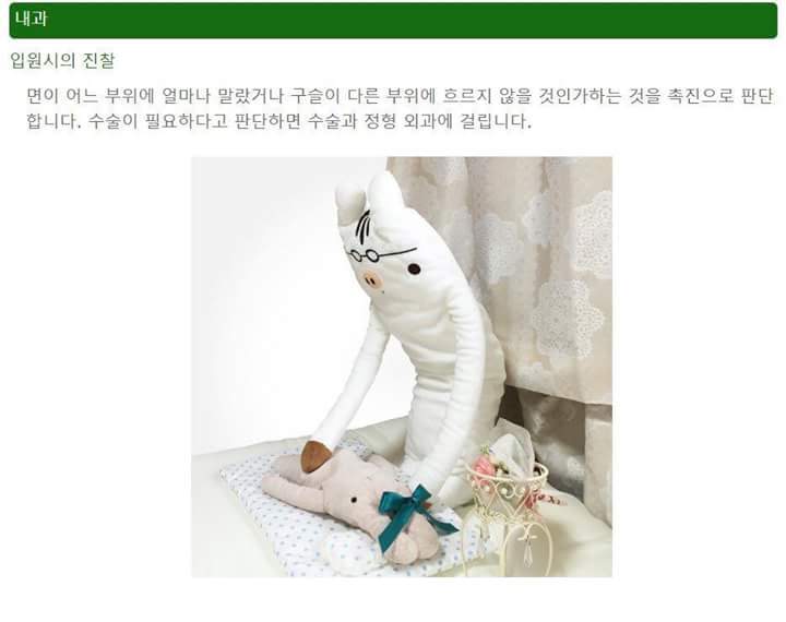 일본의 인형병원 | 인스티즈