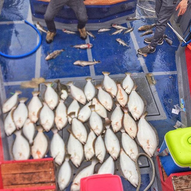 낚시 좋아하는 아이돌 | 인스티즈